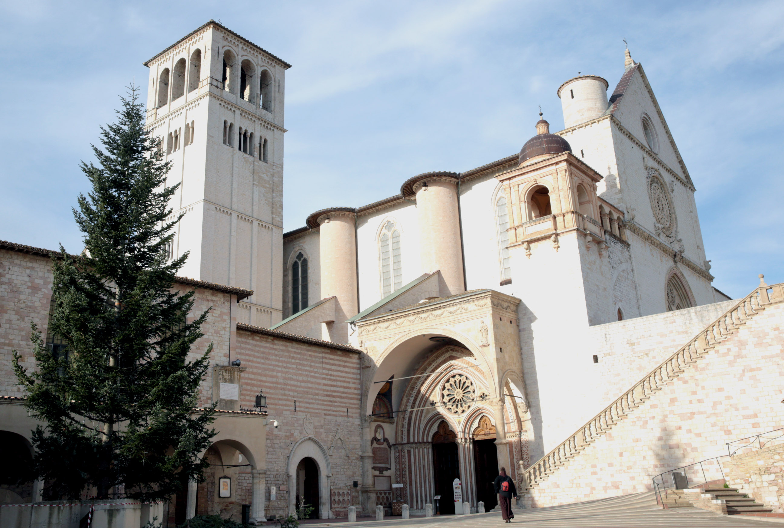 ALBERO ASSISI 2017