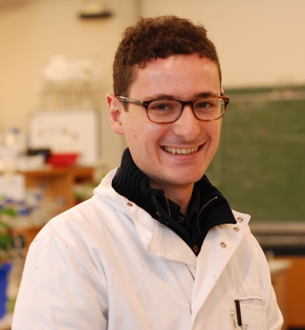 Alberti Fabrizio r