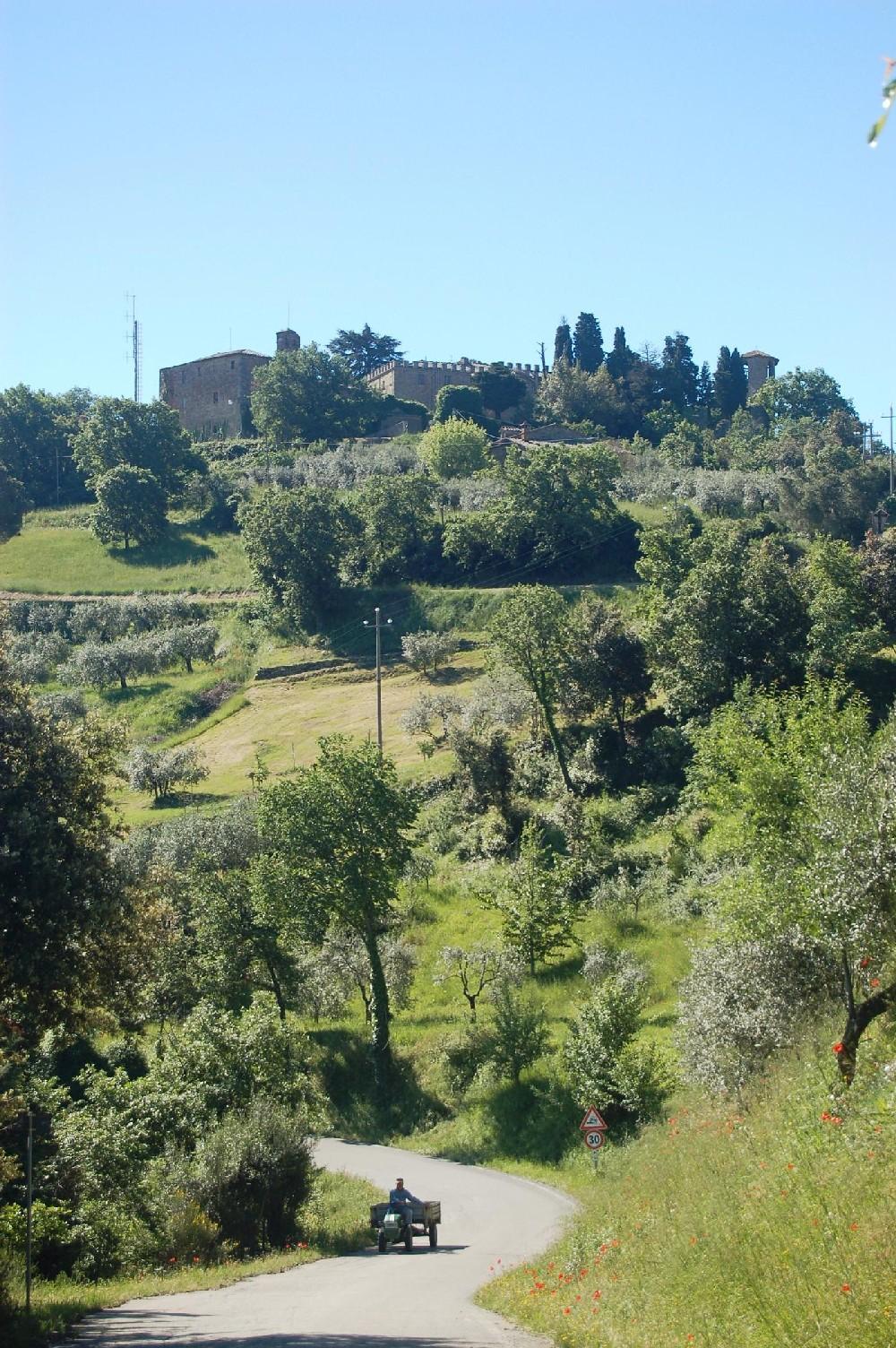 Beato Leopoldo 3