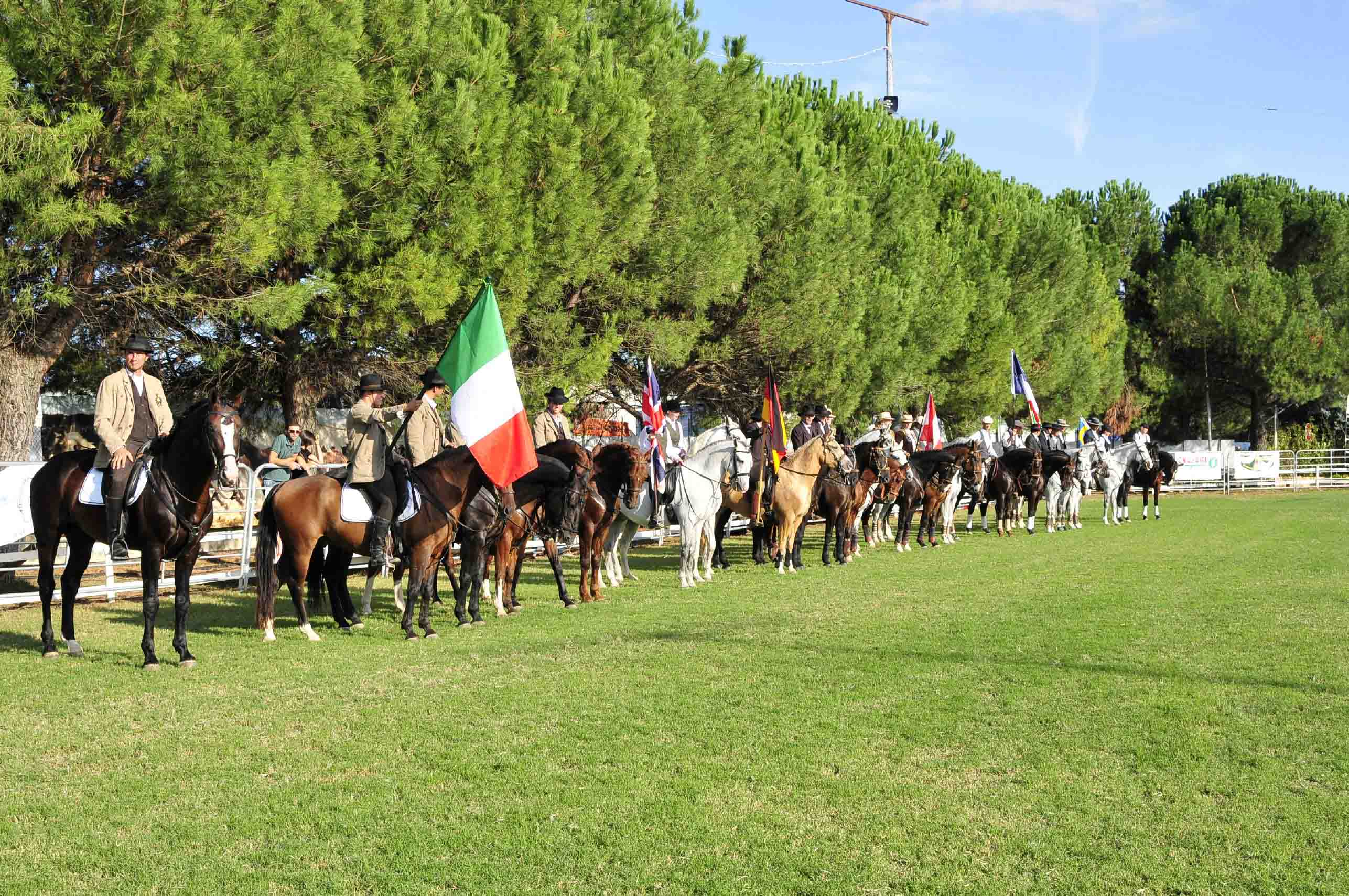 Campionato Europeo Monta da Lavoro