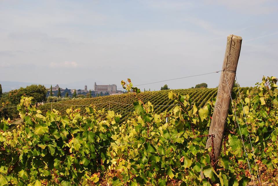 Cantina Poggiocavallo vista su Orvieto