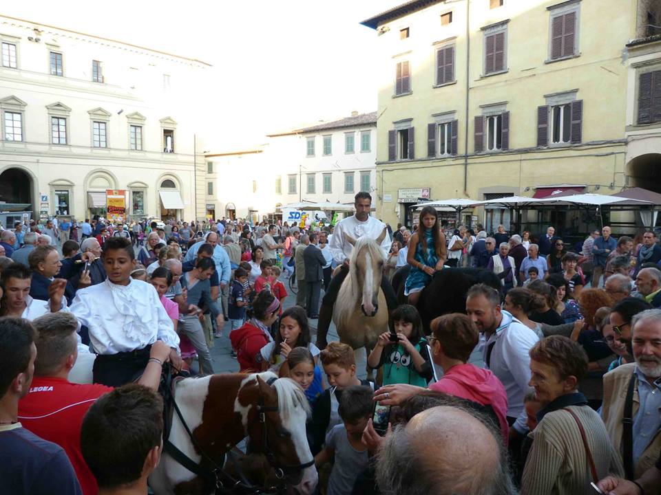 Cavalli in città