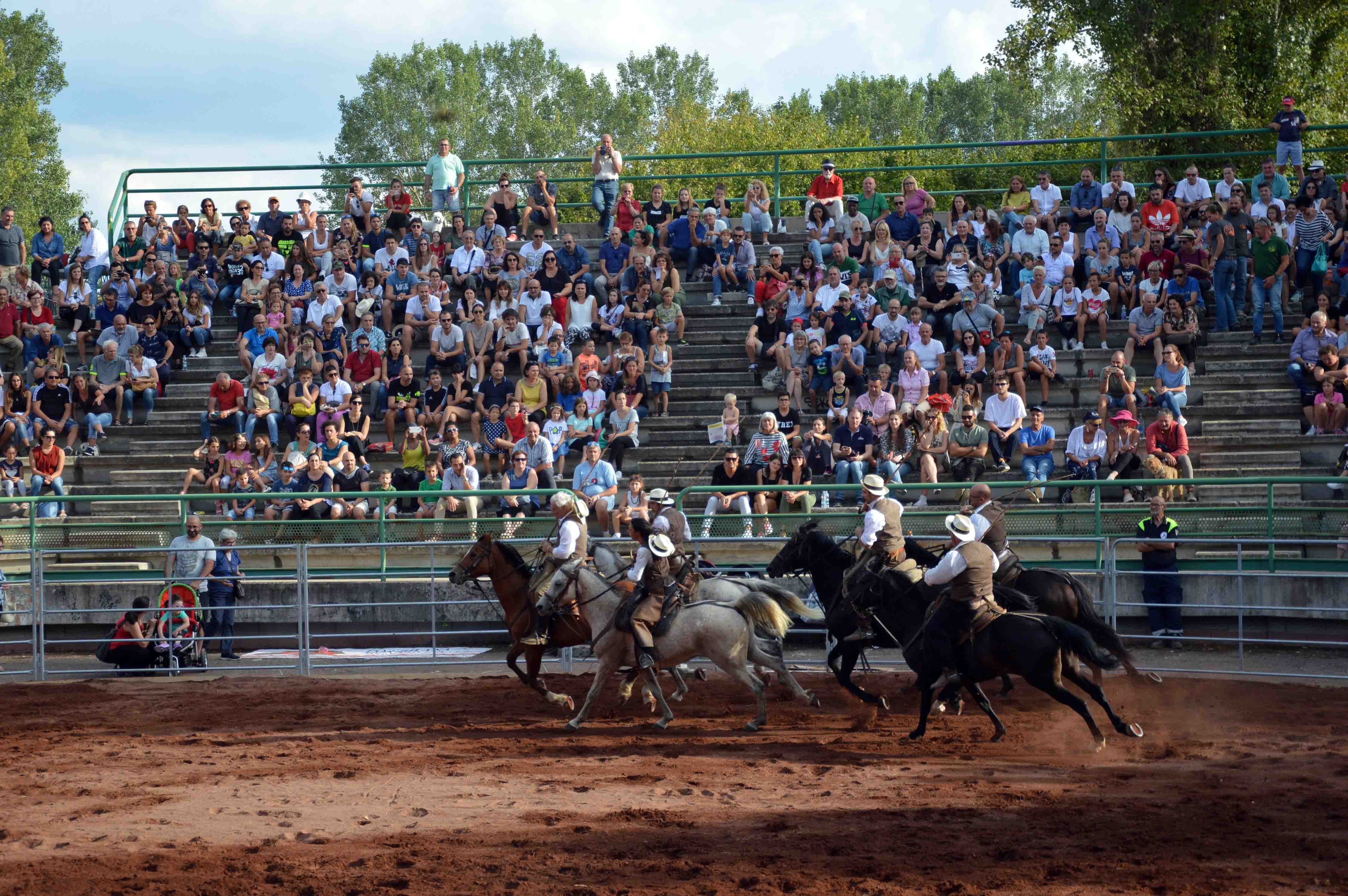 Esibizioni equestri 19