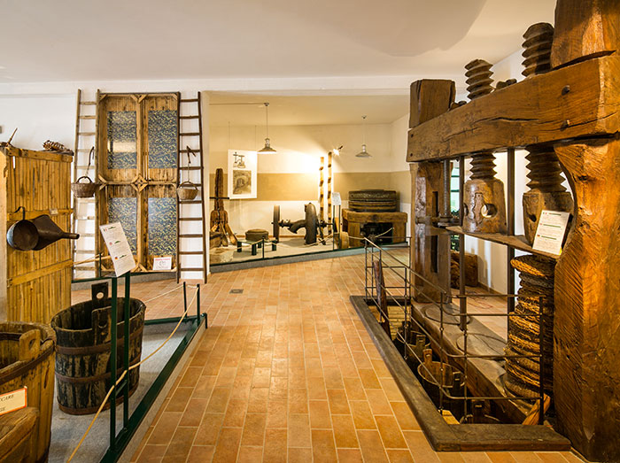 FB museo 02