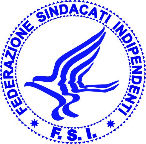 FSI logo