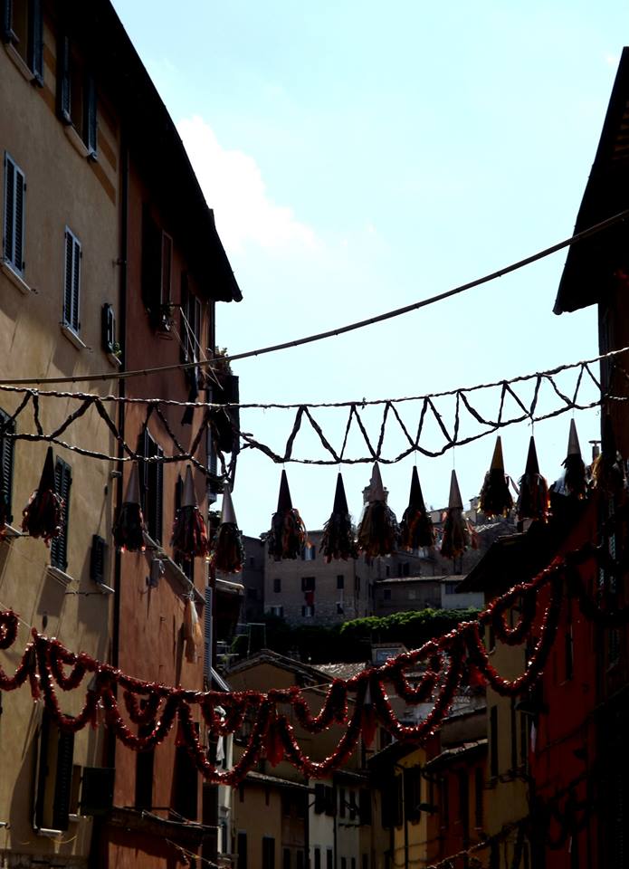 FestaSantonio3