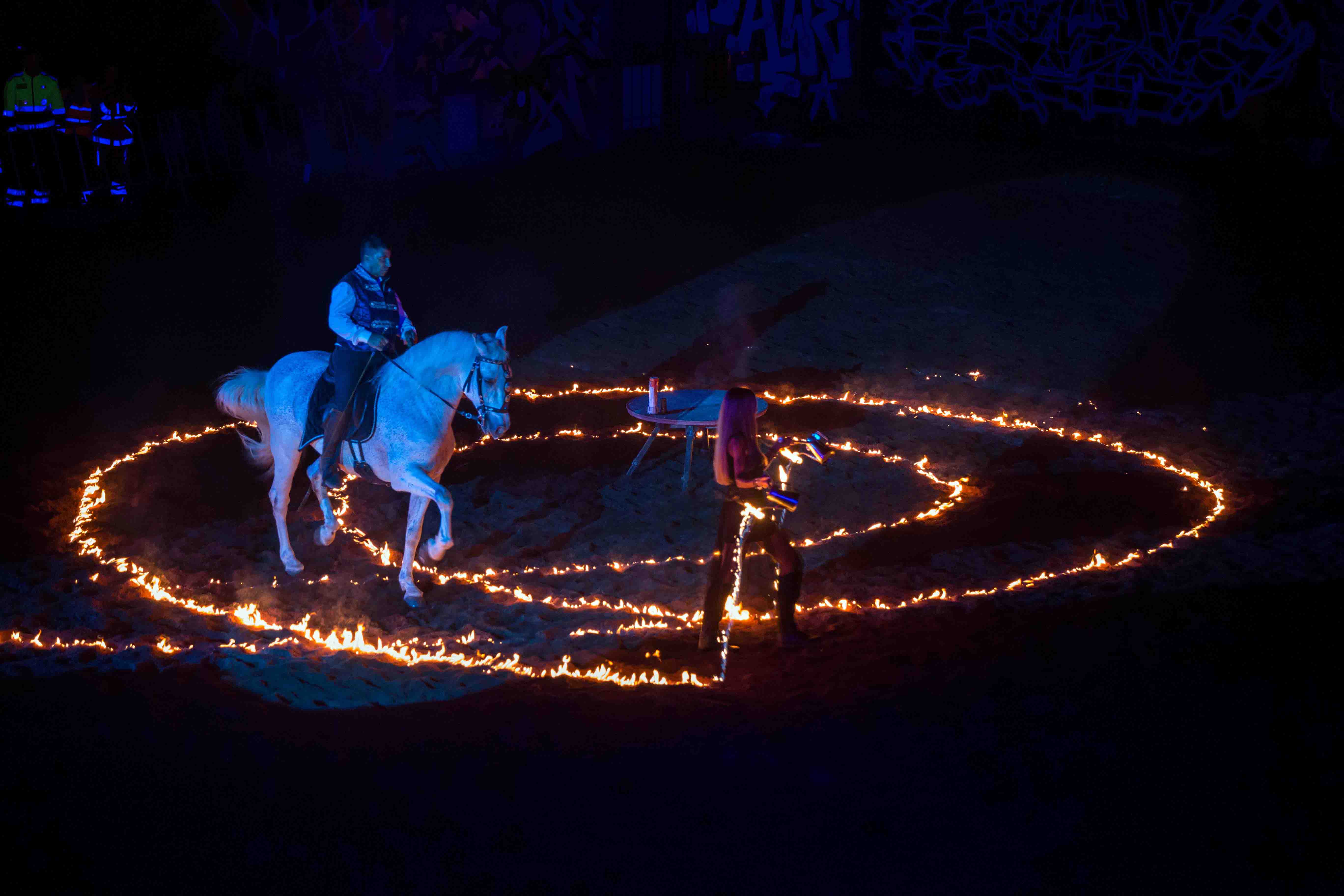 Gala Equestre 11