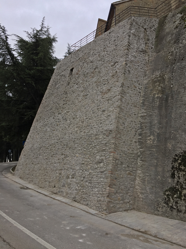 IMG montone5838