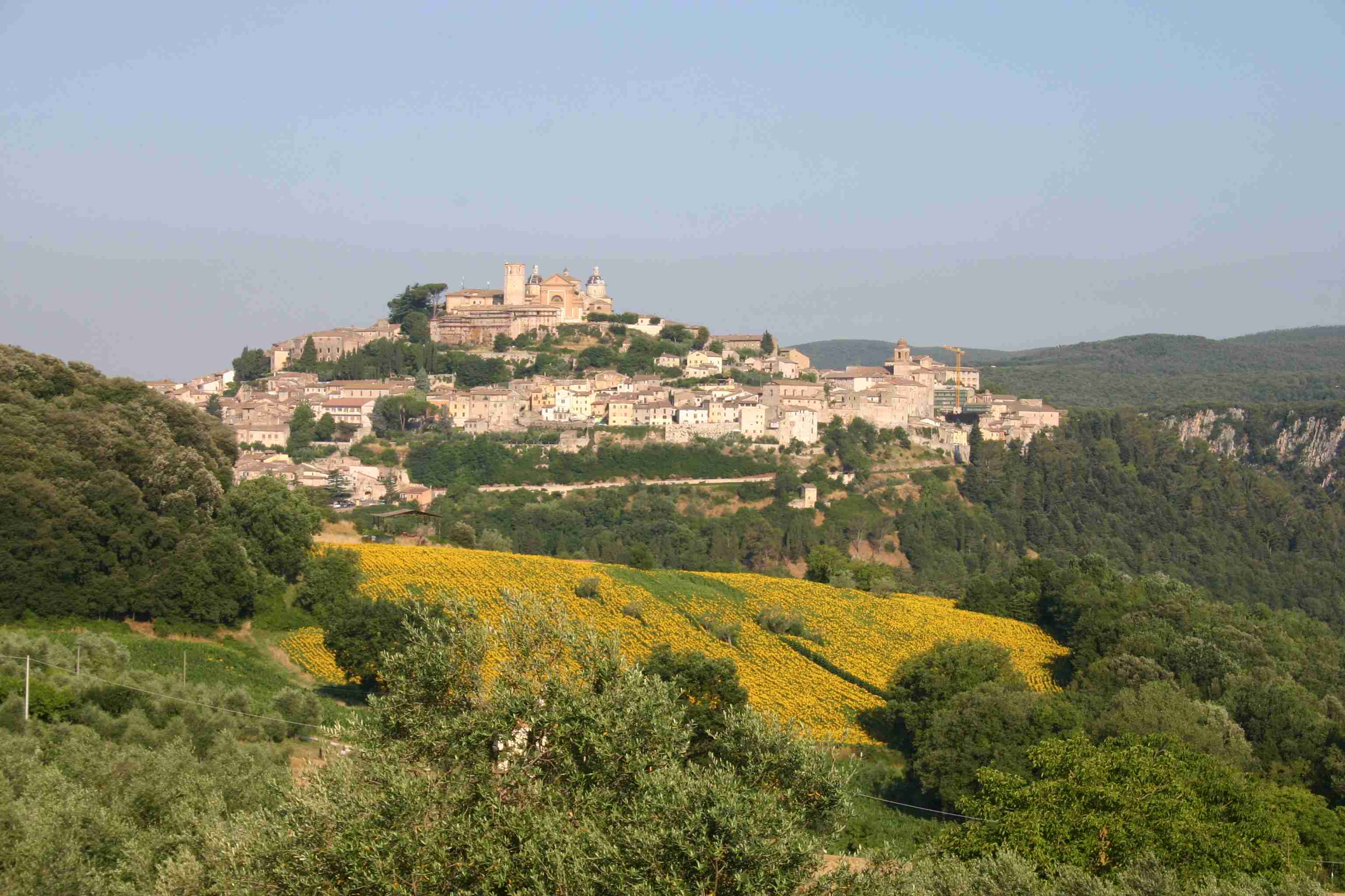 PANORAMA AMELIA1