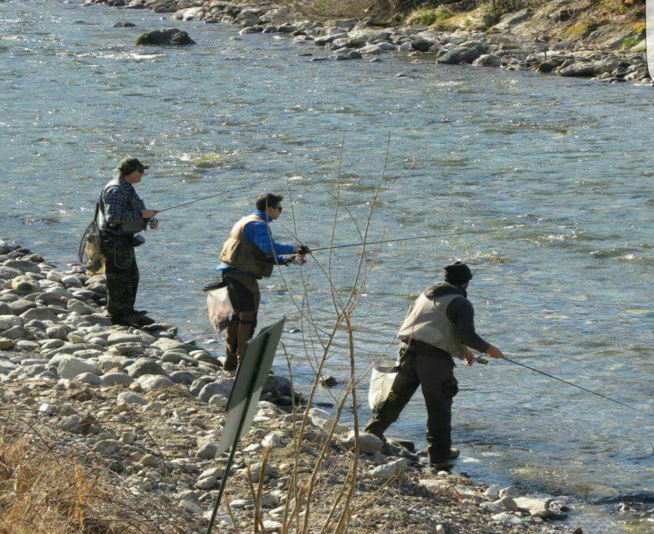 Pesca2019