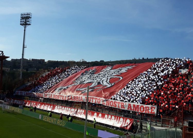 Stadio Curi Super News 750x536