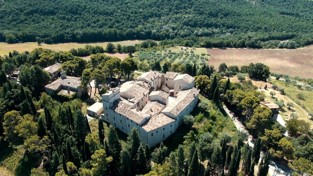 Todipetroro