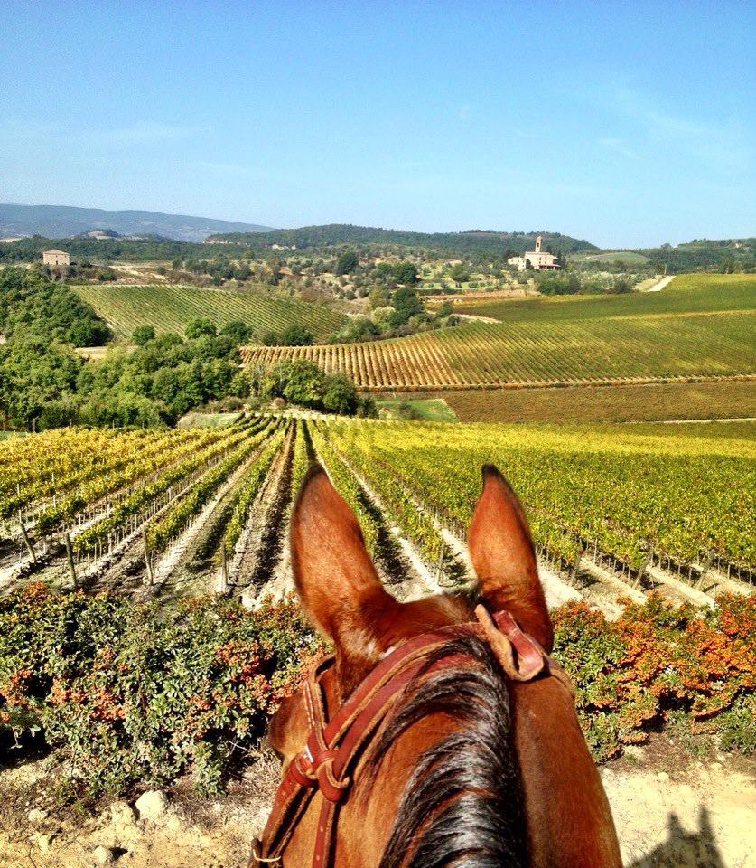 Turismo equestre in umbria