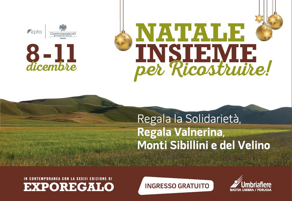 NataleInsieme