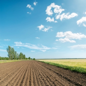 agricoltura campi campo