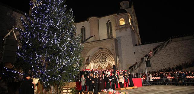 albero-natale-assisi-20141208094547