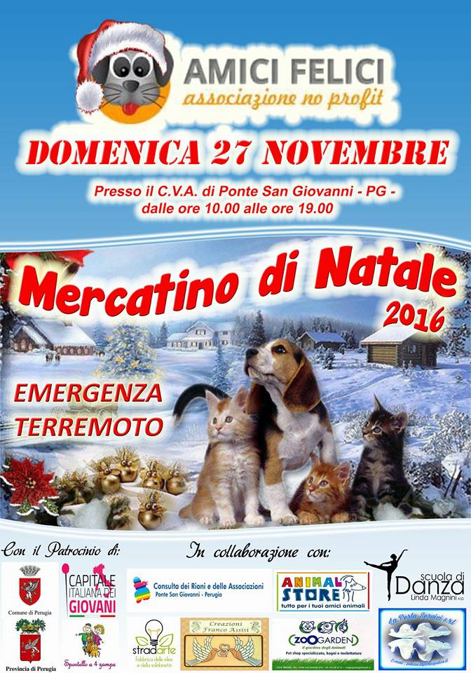 amici felici terremoto