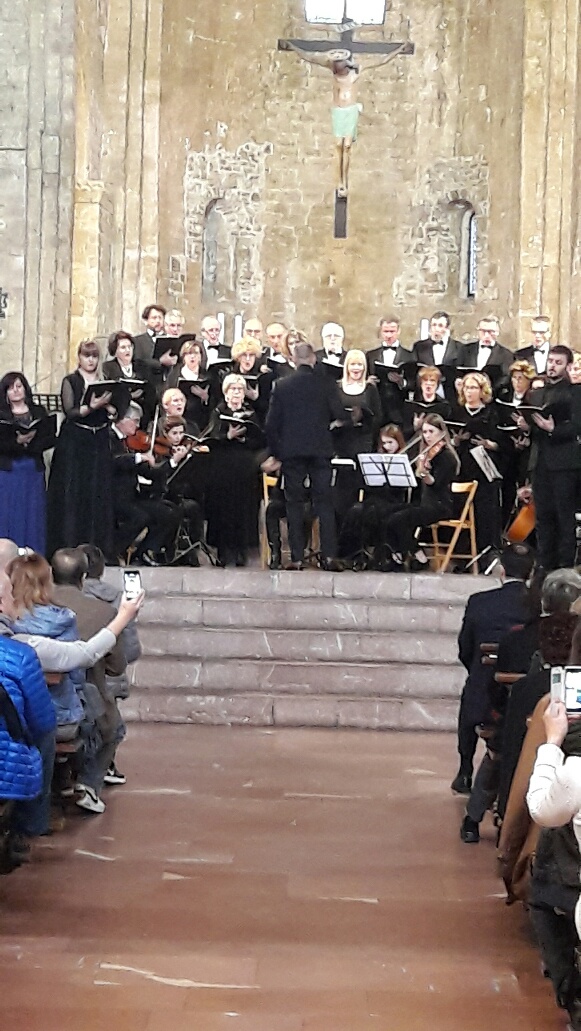 assisicconcertus