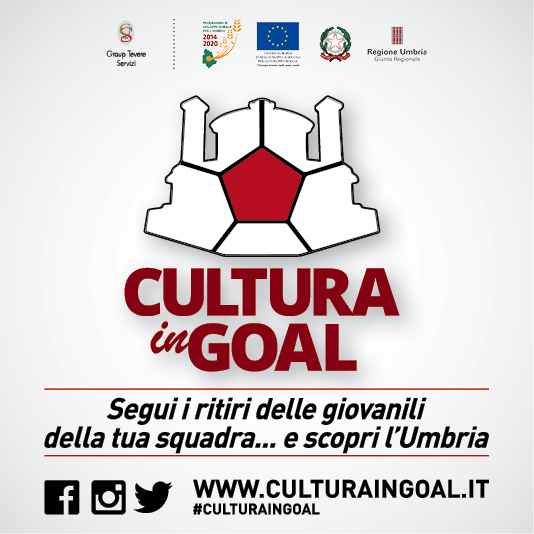 banner cultura in goal 400x400