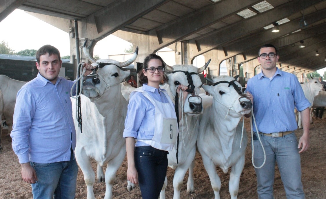 bovini gruppo primi class Marco Mancinelli Claudia Pierini Matteo Agostini
