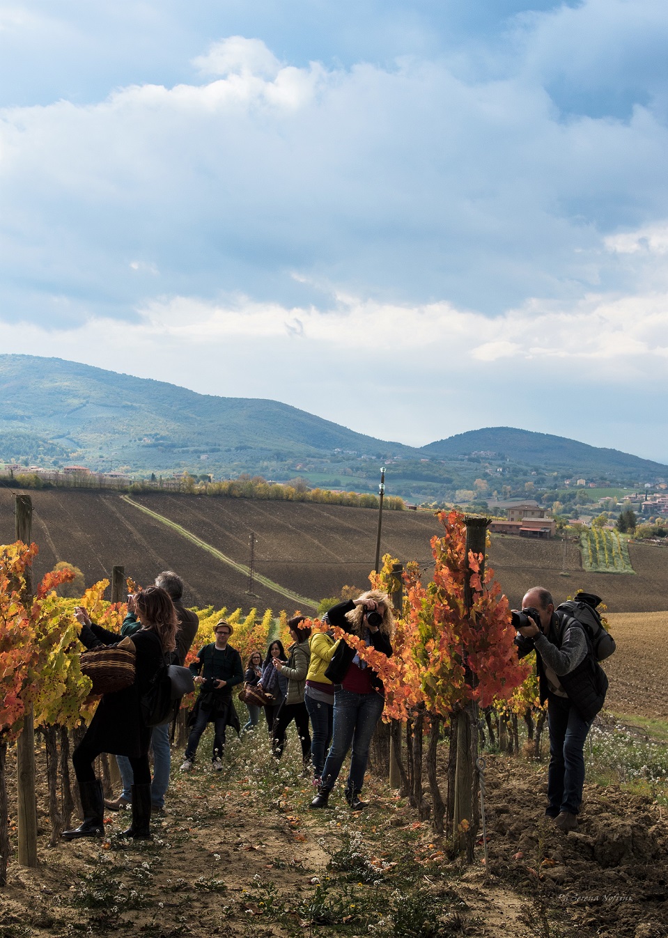 2017 11 05 WORKSHOP CANTINE SCACCIADIAVOLI