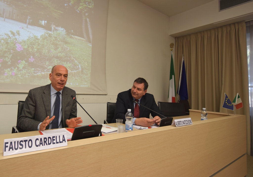 Cardella 3
