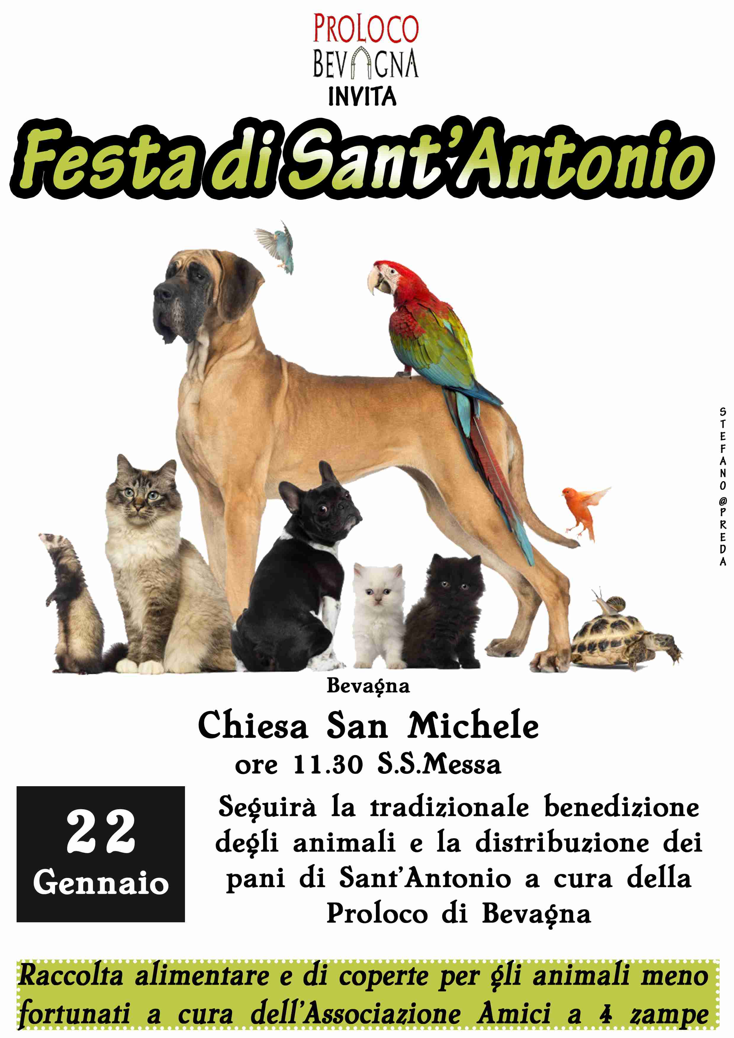 FESTA ANTONIO