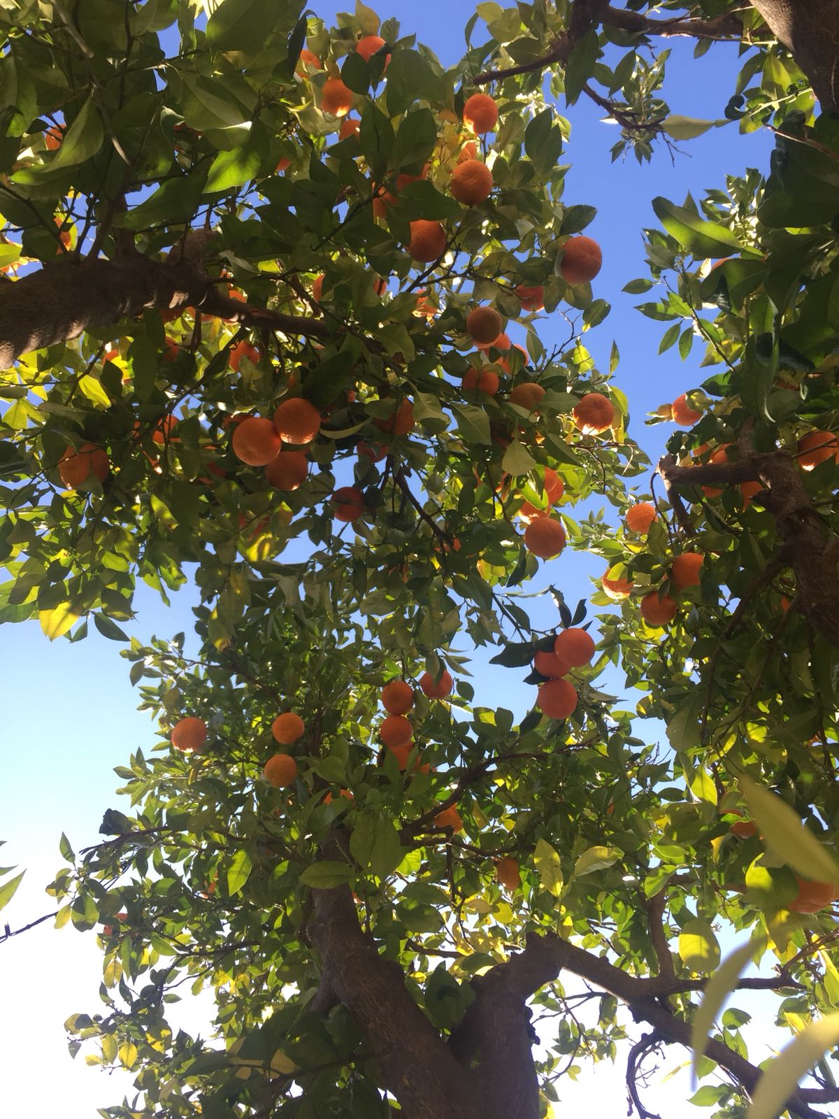 IMG 20180308 WA0014