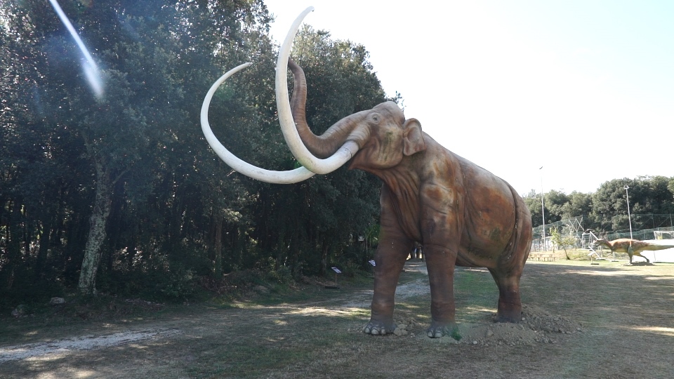 Mammut2