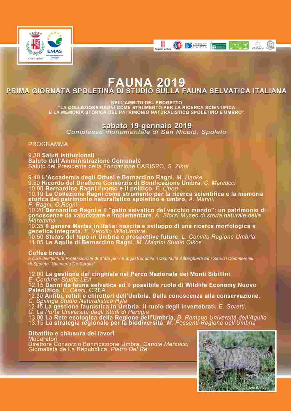 fauna2019 A3