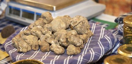tartufo