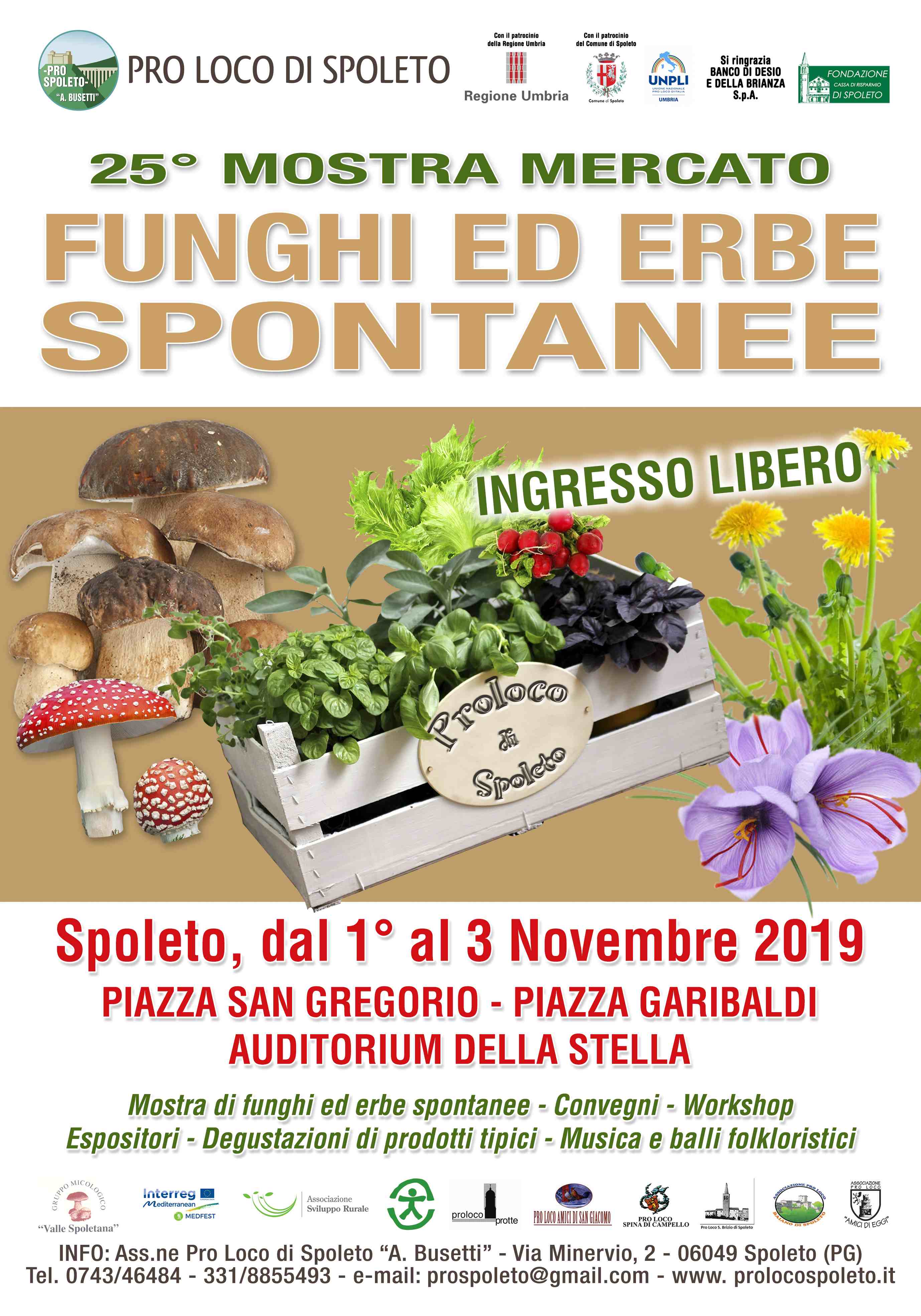 70x100 Ed 2019 AGGIORNATO