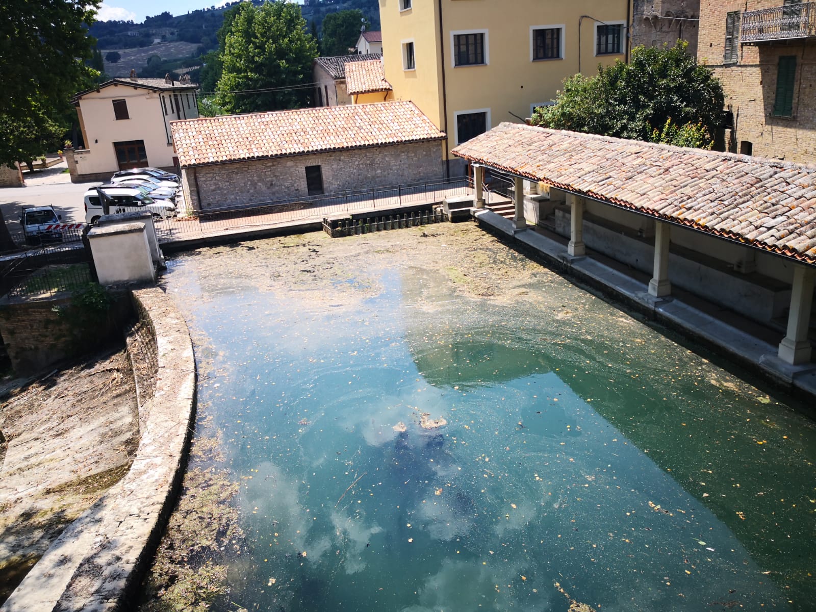 Accolta in secca