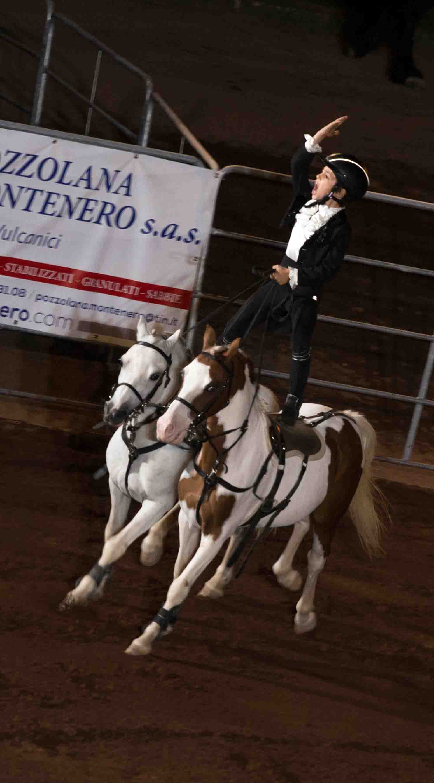 Gala Equestre 2