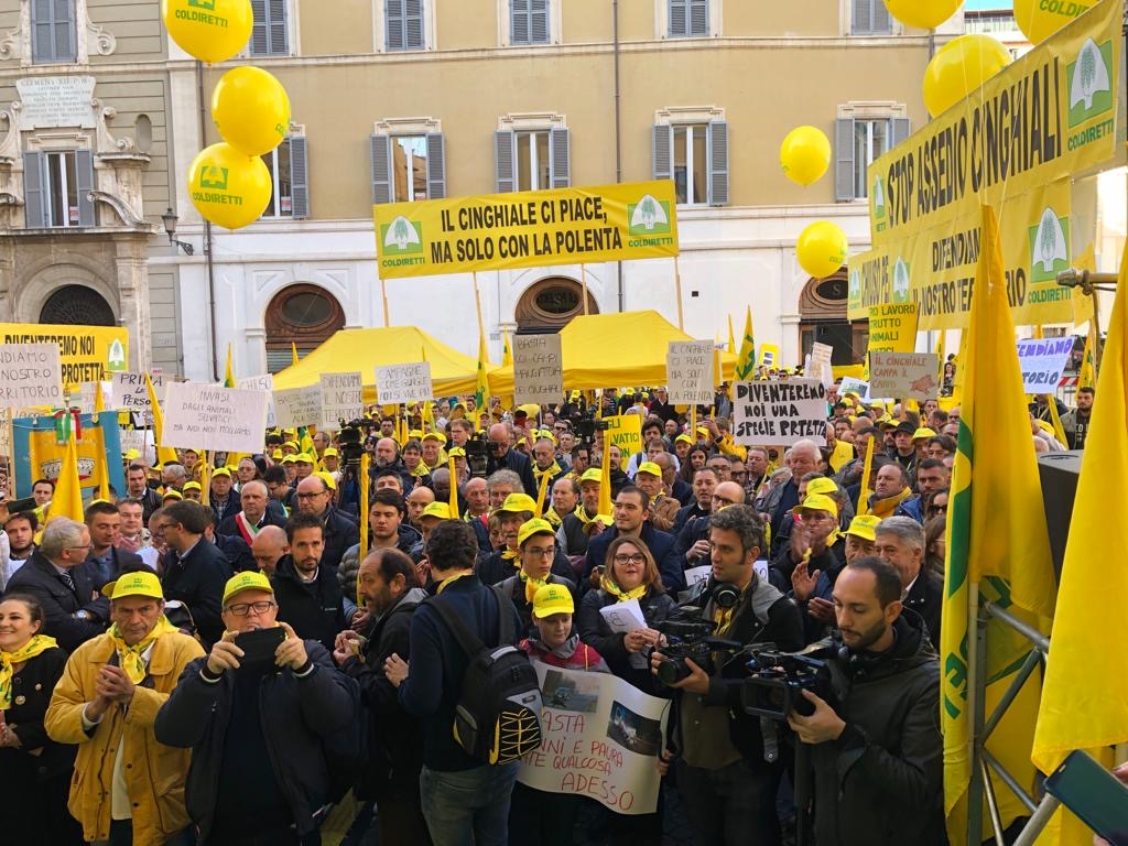 Piazza Montecitorio
