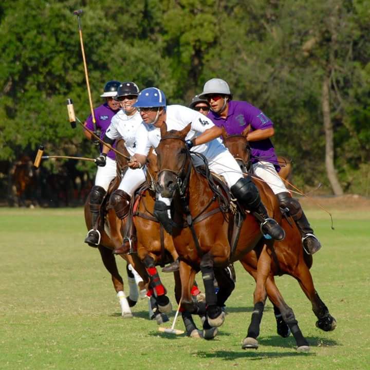 Polo 7