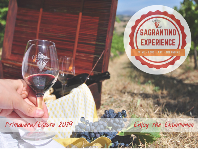 Sagrantino Experience