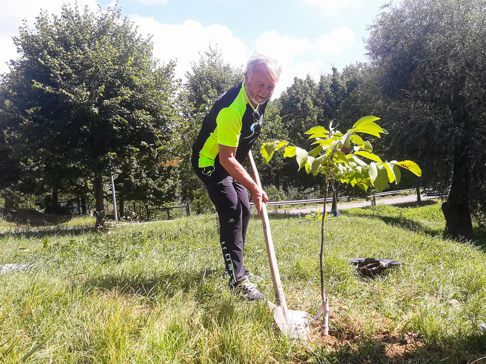 alberi
