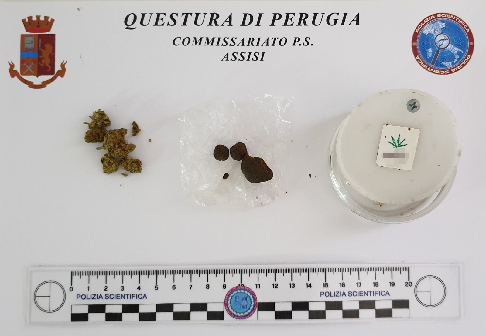 foto comunicato stampa assisi 22 novembre 2019