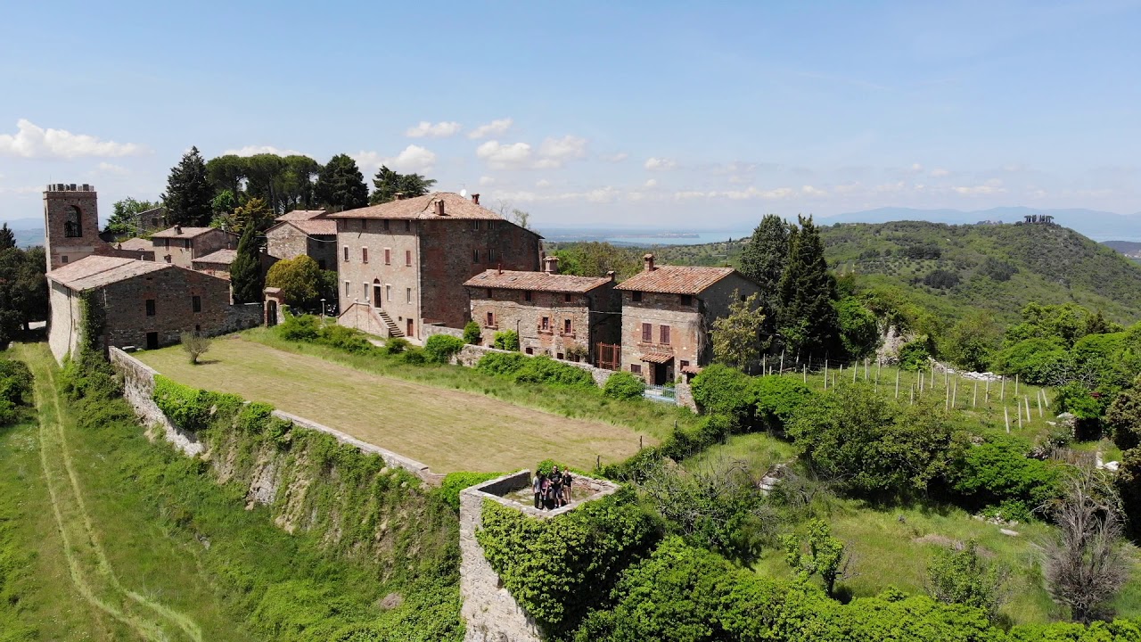 mongiovino vecchio