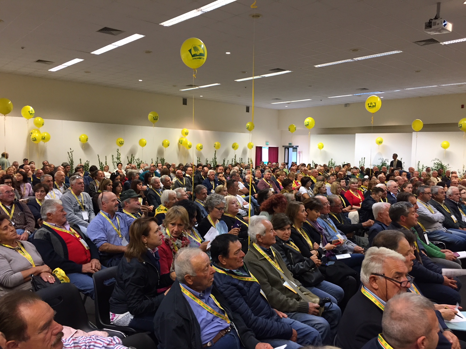 pubblico