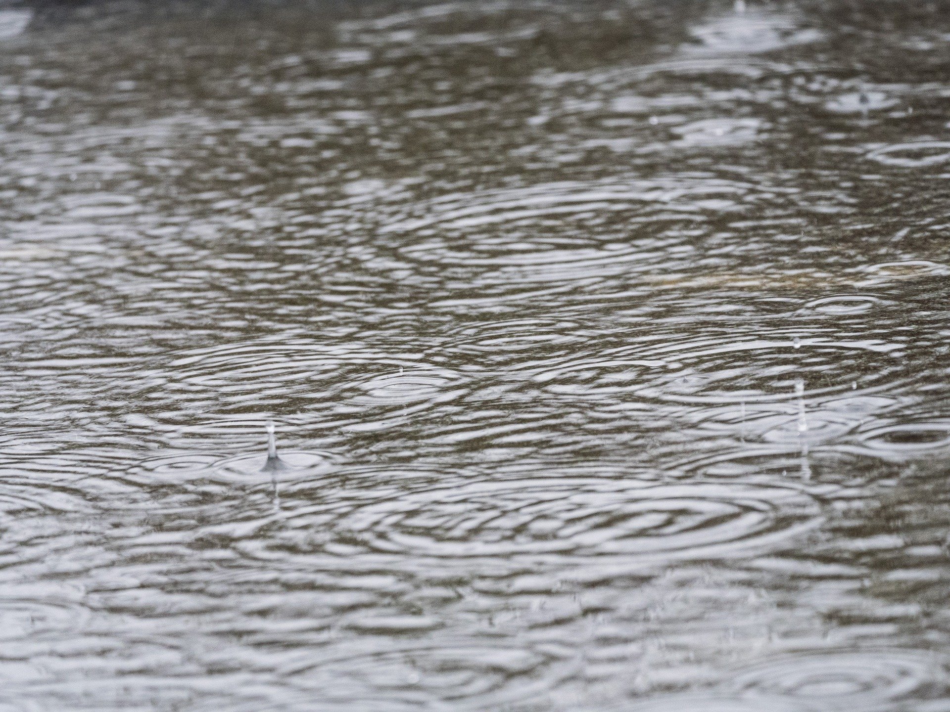 rain 2811639 1920
