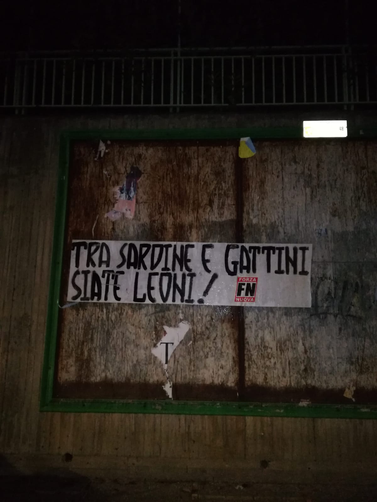 sardineleoni