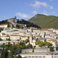 cascia