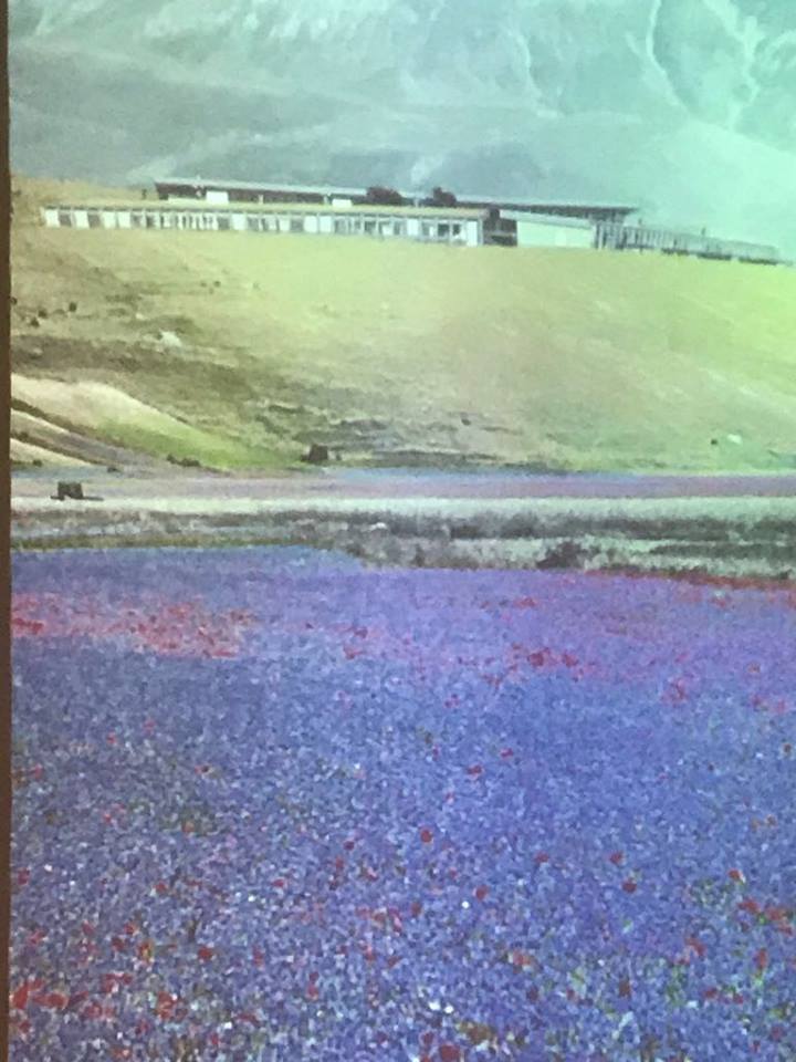 castelluccio2