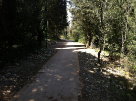 colle trinità 2