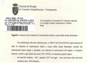 compgcamicia
