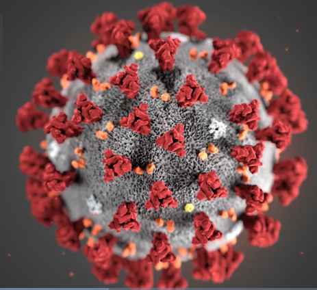 coronavirus5