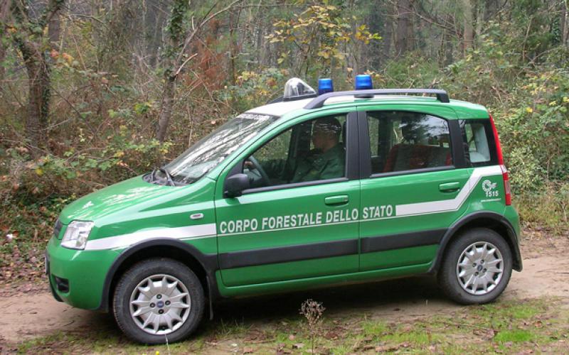 corpo forestale dello stato