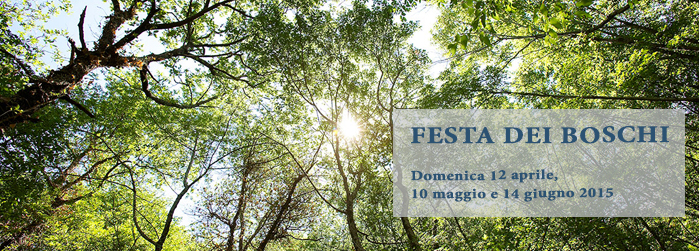 festa-dei-boschi